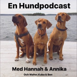 En Hundpodcast med Hannah & Annika