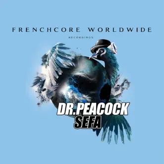 Come On by Dr. Peacock & Sefa song reviws