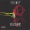 Regular - SHEF lyrics