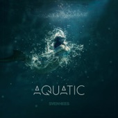 Aquatic artwork