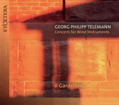 Telemann: Concerti for Wind Instruments artwork