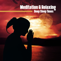 Various Artists - Meditation & Relaxing: Deep Sleep Tones - Ultimate 50 Music Tracks for Nice Dreaming, Meditation, Positive Thinking, Healing Nature artwork