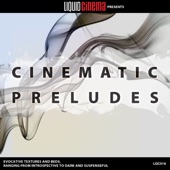 Liquid Cinema - Chronosphere