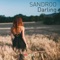 Darling - Sandroo lyrics