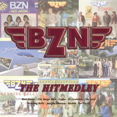 The Hit Medley - Single - BZN