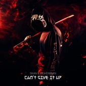 Can't Give It Up (feat. Highdiwaan) artwork