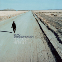 Echo & The Bunnymen - What Are You Going To Do With Your Life? artwork