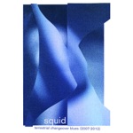 Squid - Terrestrial Changeover Blues (2007 – 2012)