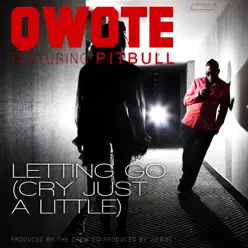 Letting Go (Cry Just a Little) [feat. Pitbull] [Radio Edit] - Single - Qwote