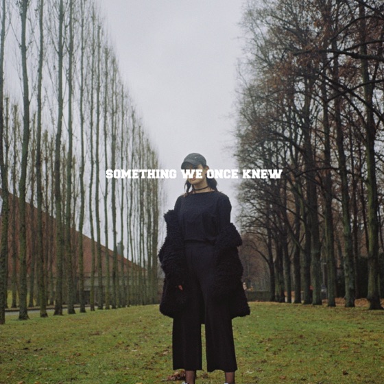 Cover artwork for Something We Once Knew