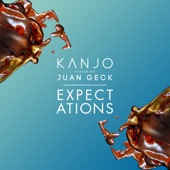 Expectations (feat. Juan Geck) artwork