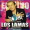 Enganchado 10 - Los Lamas lyrics