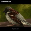 A Sparrow Alone - EP