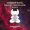 Miracles / How Do I Know (Remixes) - Single