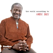 The World According to Andy Bey artwork