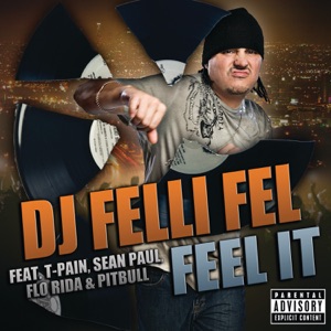 Feel It (feat. T-Pain, Sean Paul, Flo Rida & Pitbull) - Single