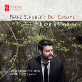 Schubert: Der Einsame artwork