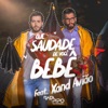 Que Saudade de Você Bebê (feat. Xand Avião) - Single