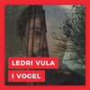 I Vogel - Single