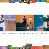 David Wilcox - Eye of the Hurricane (Live)