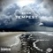Tempest (feat. Big Mike & Young Gravy) - Sayer lyrics