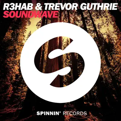 Soundwave (Radio Edit) - Single - Trevor Guthrie