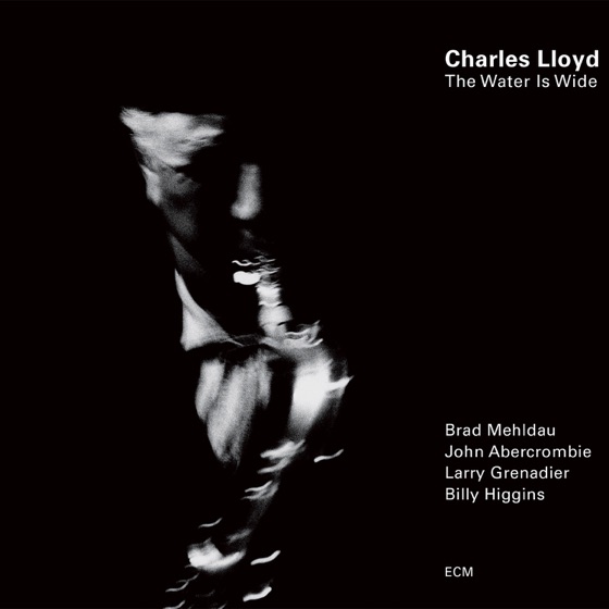 Cover artwork for Lady Day