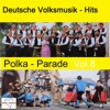 Deutsche Volksmusik-Hits: Polka-Parade, Vol. 8
