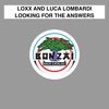 Looking for the Answers - EP