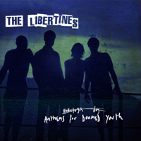 The Libertines - Anthems For Doomed Youth artwork