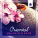 Healing Aura Chakra - Mindfulness Meditation Unit