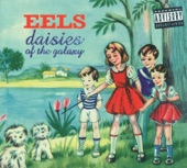 Eels - Packing Blankets