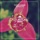 Heartwave