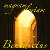 Stream & download Benedictus