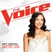 Amy Vachal - To Make You Feel My Love