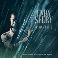 Enda Seery - Raining Notes artwork