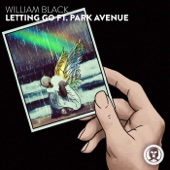 Letting Go (feat. Park Avenue) artwork