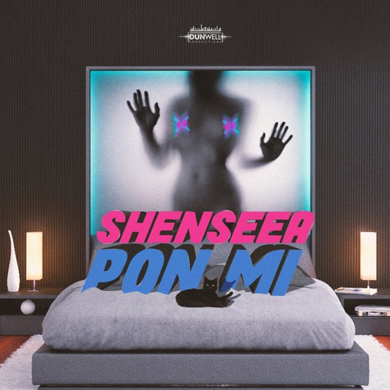 Cover artwork for Pon Mi