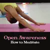 Open Awareness: How to Meditate - Aliveness of Sounds, Relaxing Back into Presence, Increase Calmness, Joy album lyrics, reviews, download