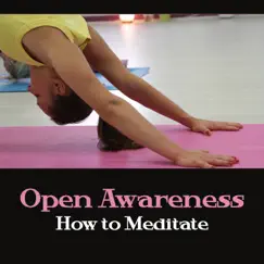 Open Awareness: How to Meditate - Aliveness of Sounds, Relaxing Back into Presence, Increase Calmness, Joy by Blissful Meditation Academy album reviews, ratings, credits