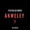 Akweley (feat. Kobla Jnr & DarkoVibes) - Stylin lyrics
