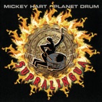 Mickey Hart & Planet Drum - Frog Dance