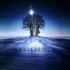 Resilience