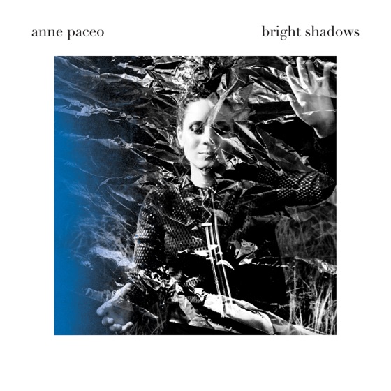 Cover artwork for Stranger
