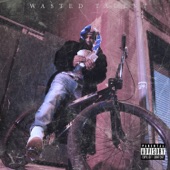 Wasted Talent artwork