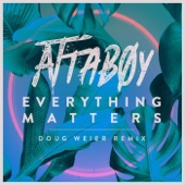 Everything Matters (Doug Weier Remix) artwork