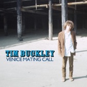 Tim Buckley - Buzzin' Fly (Remastered)