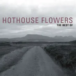 The Best Of - Hothouse Flowers