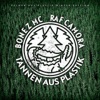 Palmen aus Plastik - Winteredition (Tannen aus Plastik)