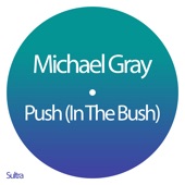 Push (In the Bush) [Club Mix] artwork